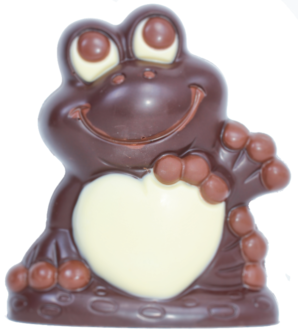 Frog Gift/chocolate Frog/edible Frog/frog Lover/cute Fun Frogs/boy