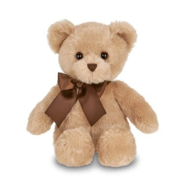 Cuddly Stuffed Bear